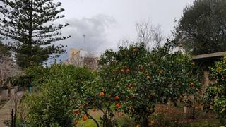 Residential Plot in Son Amonda - Reis Catòlics