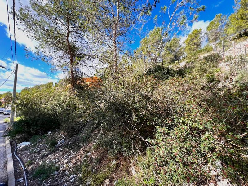 Foto 2a66f324-9e9c-4f17-b82c-cb11b0d1ebd1. Residential plot in Olivella