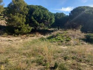 Terreno residencial  Camí can creus 36. Terreno en venta premia de dalt
