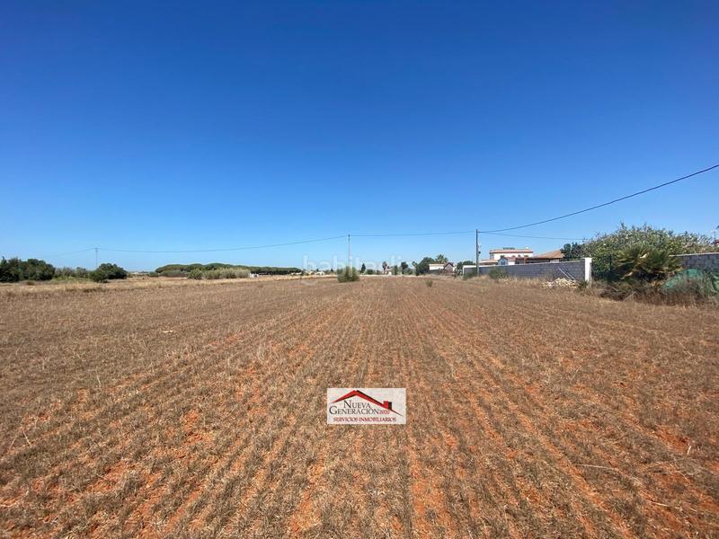 Foto 13243f01-ce07-466a-8d55-b61bcf212310. Finca rústica a Roche Conil de la Frontera