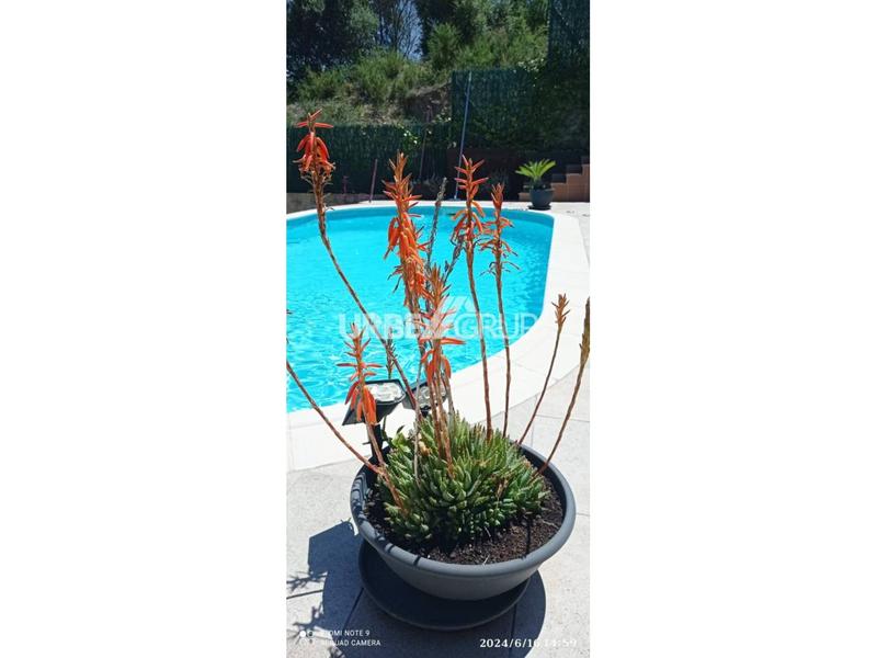 Foto 428420f8-5b5b-45d9-92cc-8816b4217698. Casa amb calefacció aparcament piscina a Masquefa