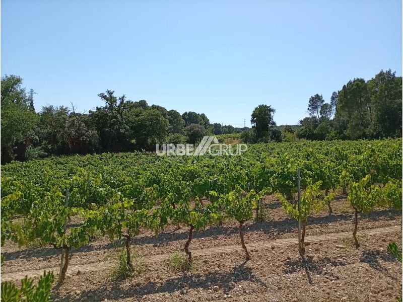 Foto 9b0a6650-3e1f-480c-aa54-39c8cbe363d0. Casa aparellada amb calefacció piscina a Abrera