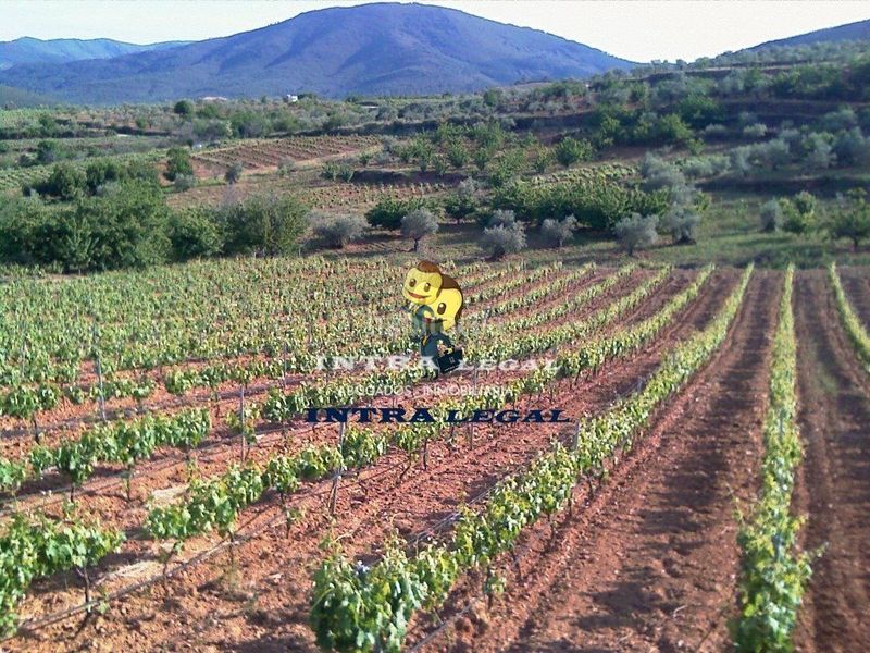 Foto 2a10ec97-f97c-4cfb-a4fe-6af35ff15192. Local comercial a Sotoserrano
