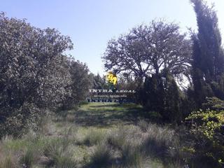Finca rústica  Gaviota. Finca con propiedades en ciudad rodrigo.