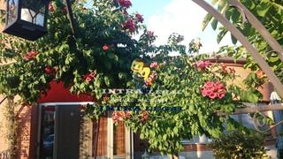 Xalet  Alm-cl fatima. Chalet con piscina y bodega en villamayor
