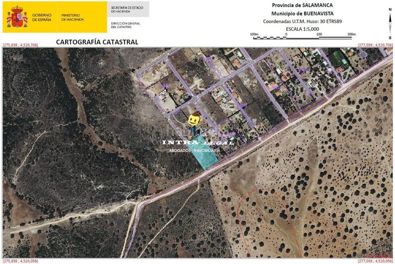 Foto 114d3e4a-6488-4ca7-9d94-3ce1b3f7af7f. Finca rústica a Buenavista