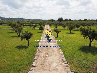 Rural plot  Vitigudino. Finca rústica en la comarca de vitigudino , 10 hectáreas!