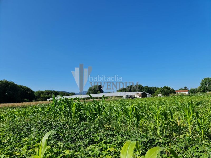 Foto 37cfb98d-7419-4788-987c-9720baad5741. Terreno residencial en Rosal (O)