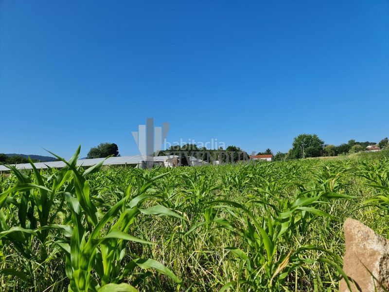 Foto 7aa66927-da0d-4d02-825c-d0a3de6abb35. Terreno residencial en Rosal (O)