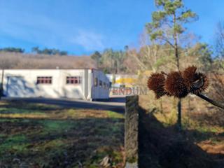Affitto Capannone industriale in Mos