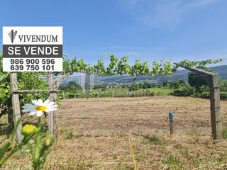 Finca rústica a Arbo