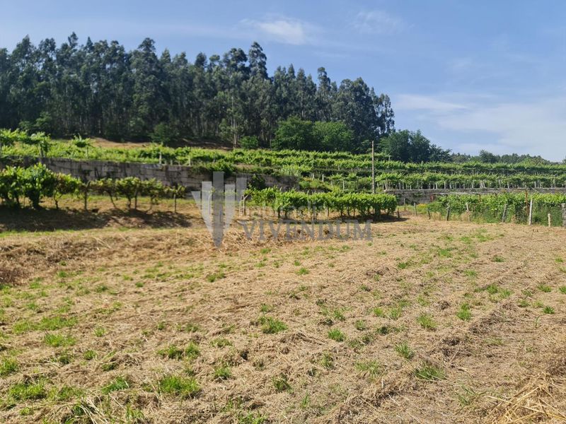 Foto 02d1f45d-ca34-40e9-a8b2-def33d61bbd3. Finca rústica en Arbo