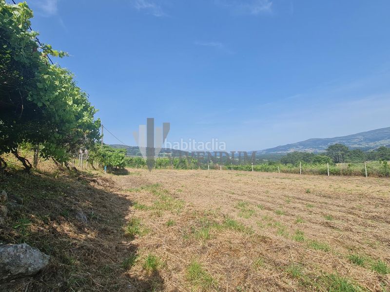 Foto 46abc373-5ece-4bc9-87be-1e1d94c1949c. Finca rústica en Arbo