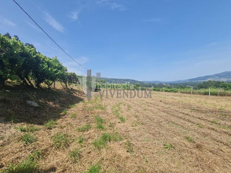 Foto 54c746c7-c68f-4ce8-8bbf-54666d389963. Finca rústica en Arbo