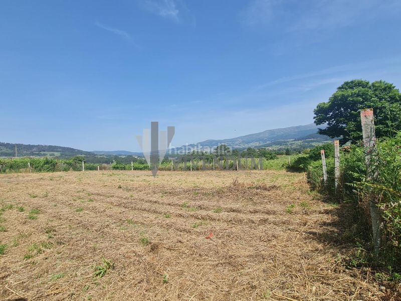 Foto 63fce6db-ede7-4601-b02a-51e5937ff1e4. Finca rústica en Arbo