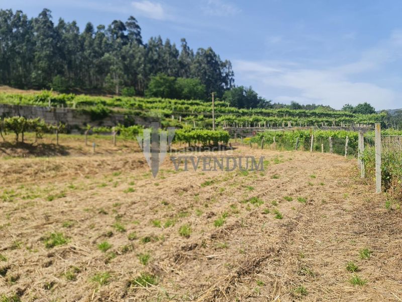 Foto 93b66e24-9c8b-4577-8fea-458f17a62593. Finca rústica en Arbo