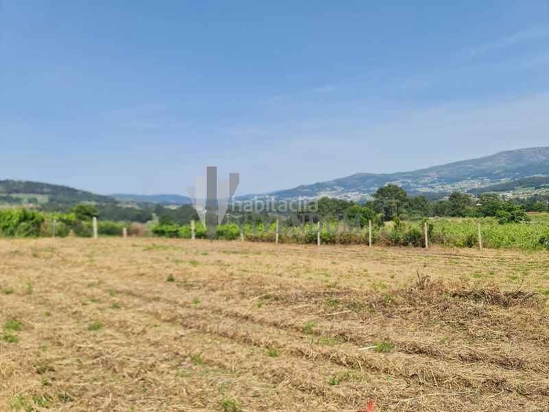 Foto d6dd9b0f-6448-46d7-b48b-3115a9d6ec14. Finca rústica en Arbo