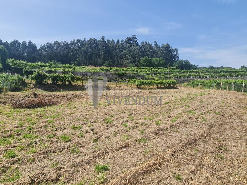 Foto d946d4f1-a188-4792-816e-ab1aba875463. Finca rústica en Arbo