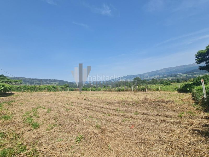Foto f9f1481c-0215-4503-9eaf-bc36ce2809a7. Finca rústica en Arbo