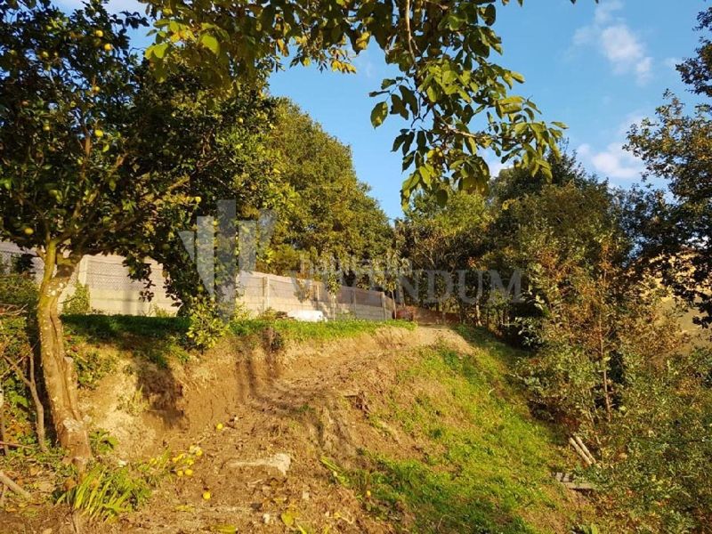 Foto a935823b-2315-48da-b961-823ad1d07cb1. Casa amb calefacció aparcament a Covelo (O)