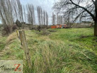 Finca rústica a Roales. Finca rustica en venta en roales