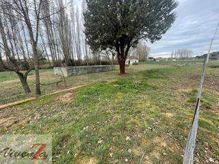 Finca rústica a Roales. Finca rustica en venta en roales