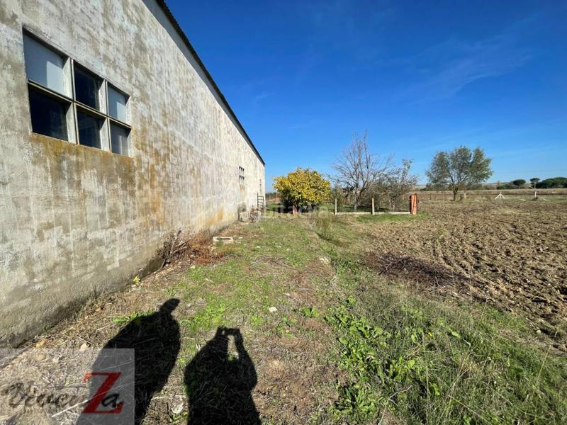 Foto f345ffc5-05ef-4baf-aec4-4fd7c0811e8a. Finca rústica a Coreses