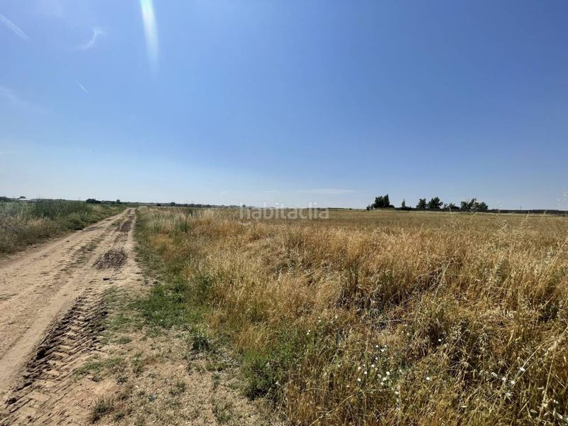 Foto d7635d48-fdbd-4baf-8f88-c3ac30e59bd7. Finca rústica a Pinilla Zamora