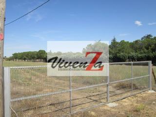 Finca rústica a Entrala. Finca rustica en venta en entrala