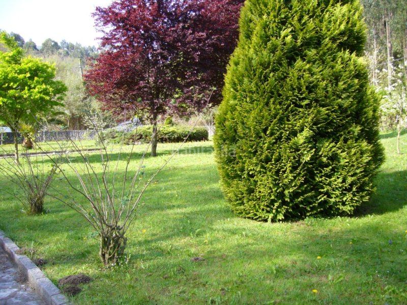 Foto f48b8188-b28e-4ebb-ab4b-f7cada104c52. Chalet in Pría-Nueva-Hontoria-Naves Llanes