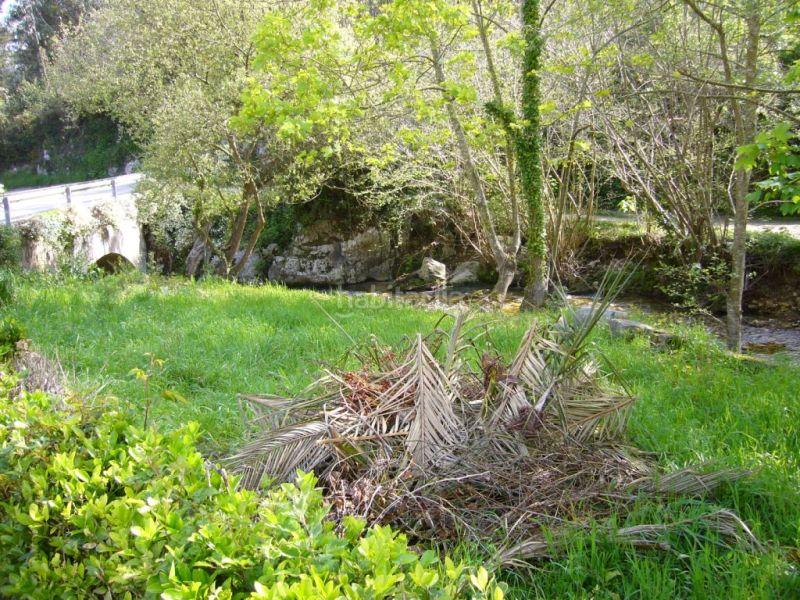 Foto 4e0e739a-ca8b-4f7d-952a-95232470c031. Chalet en Pría-Nueva-Hontoria-Naves Llanes