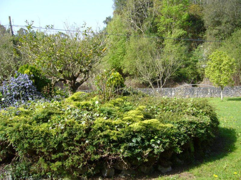 Foto 82137a74-073d-45d3-96c0-4d9762597873. Chalet en Pría-Nueva-Hontoria-Naves Llanes