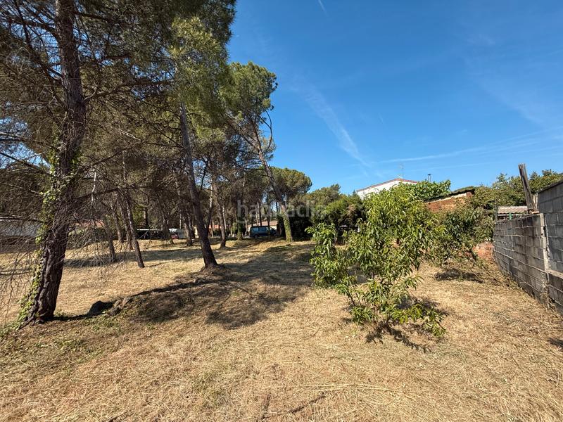 Foto b3e03a08-c15e-4928-a566-3958a4e4e000. Terrain résidentiel dans carrer besòs 4 dans Begues