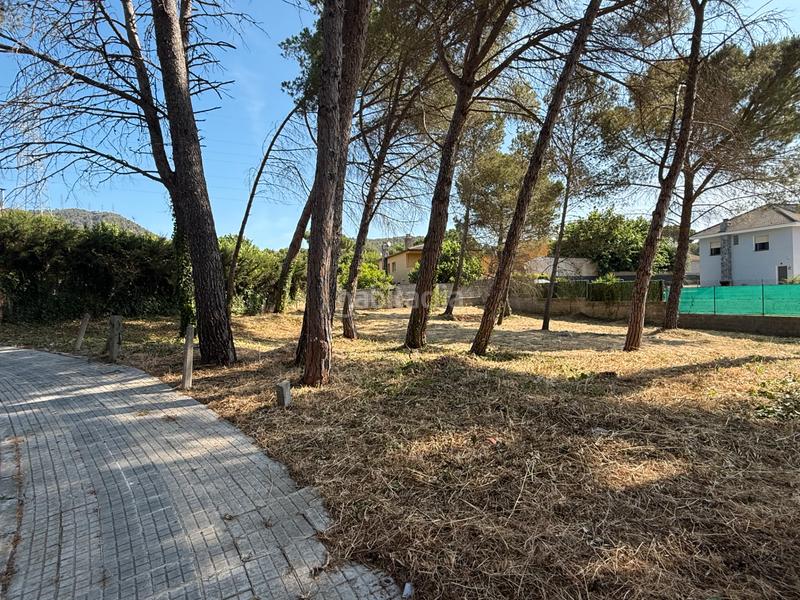 Foto c6efc7fd-bed1-48fe-8163-ee776c6a995b. Terrain résidentiel dans carrer besòs 4 dans Begues