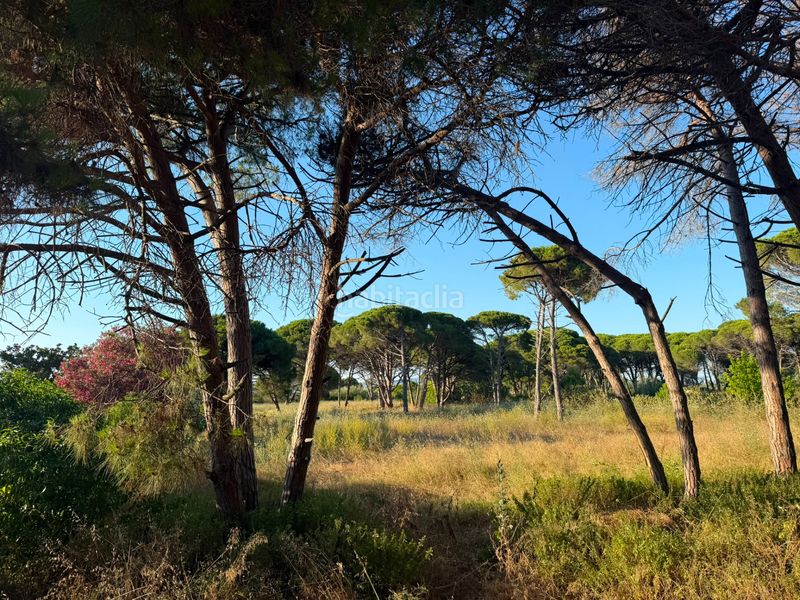Foto 2c709caa-f23d-4bf9-8c86-0f2407eb6dcf. Finca rústica a camí de la pineda 55 a Gava Mar Gavà