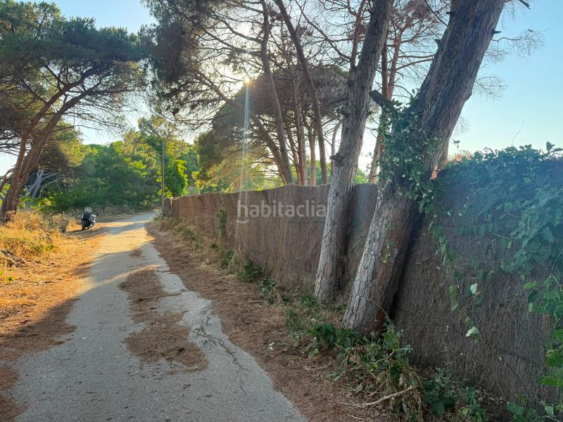 Foto 3def93b8-82da-4af5-a50b-aa8e64c18a53. Finca rústica a camí de la pineda 55 a Gava Mar Gavà