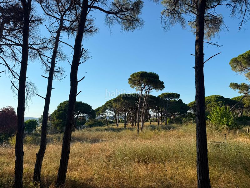 Foto 58f76a7f-5358-4601-9d70-26862e12083a. Finca rústica a camí de la pineda 55 a Gava Mar Gavà