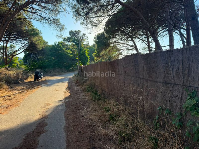 Foto c6d33aab-2472-404a-9603-863d4d216a0a. Finca rústica a camí de la pineda 55 a Gava Mar Gavà