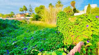 Terreny residencial a Sant Jordi de Ses Salines-Sant Francesc
