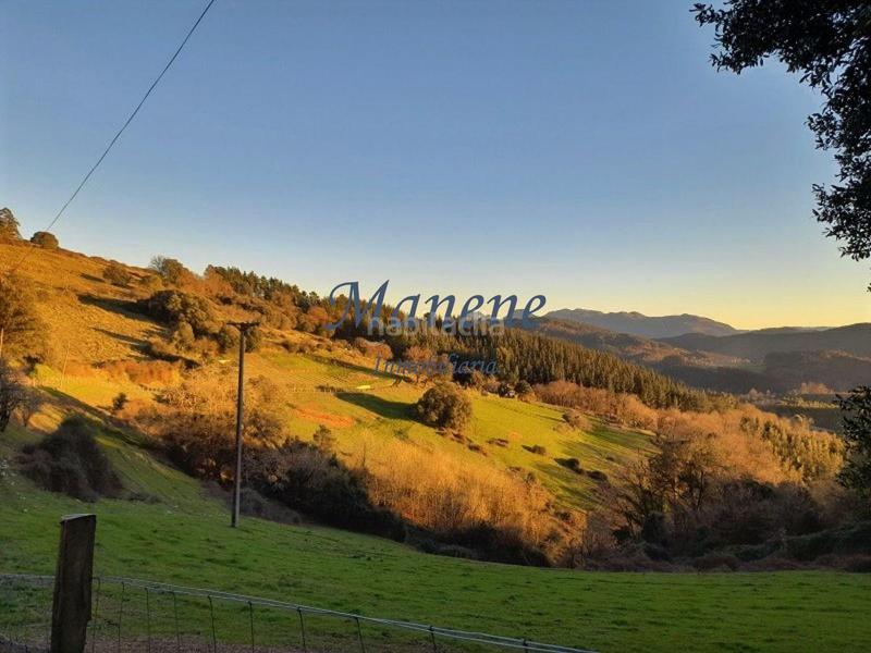 Foto 29a29894-385a-467a-bbb6-9183c8e26243. Mas dans Larrabetzu