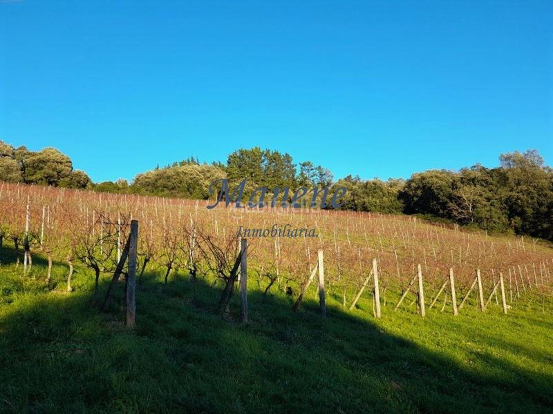 Foto 2c80cacc-538c-401c-a447-b21a106ecfeb. Mas dans Larrabetzu