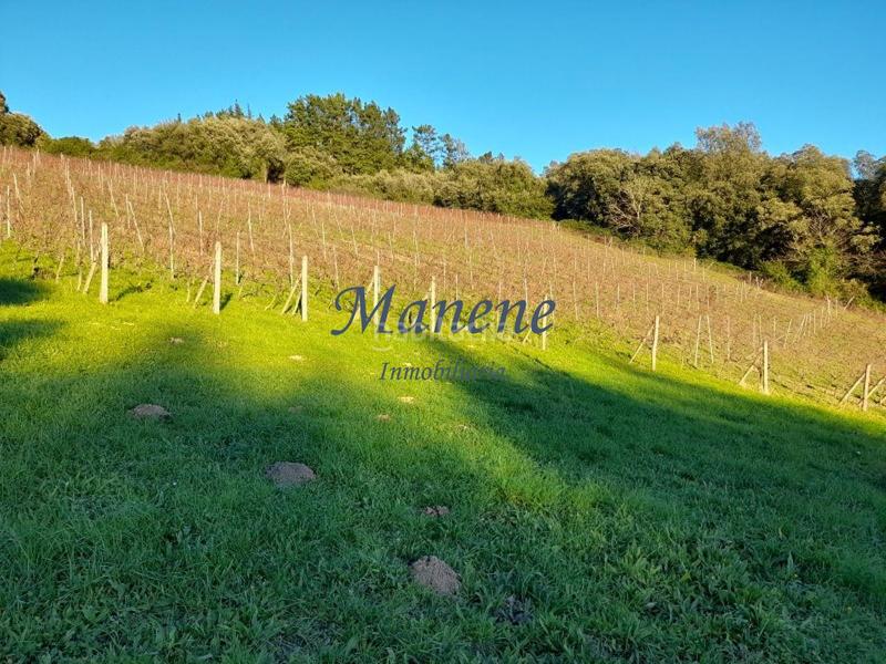 Foto 93cb1ed9-3687-4580-bebc-5da8855c4120. Mas dans Larrabetzu