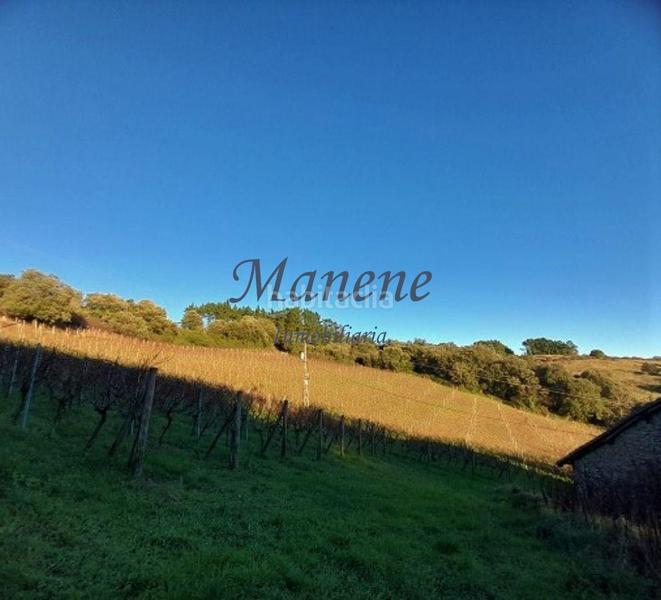 Foto 983a31c7-cb48-4d44-9c4a-eff452d99073. Mas dans Larrabetzu