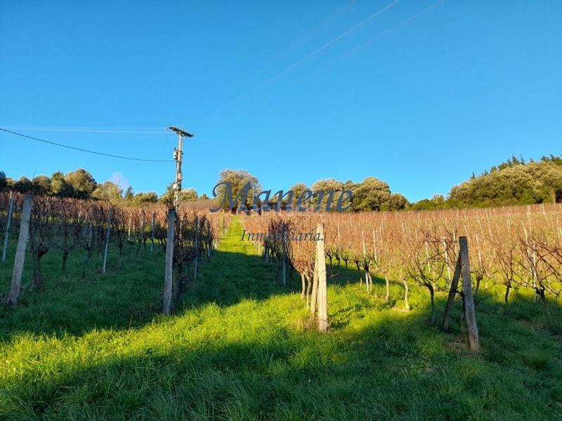 Foto d11c5336-8f9d-4682-ac15-1230db91a603. Mas dans Larrabetzu