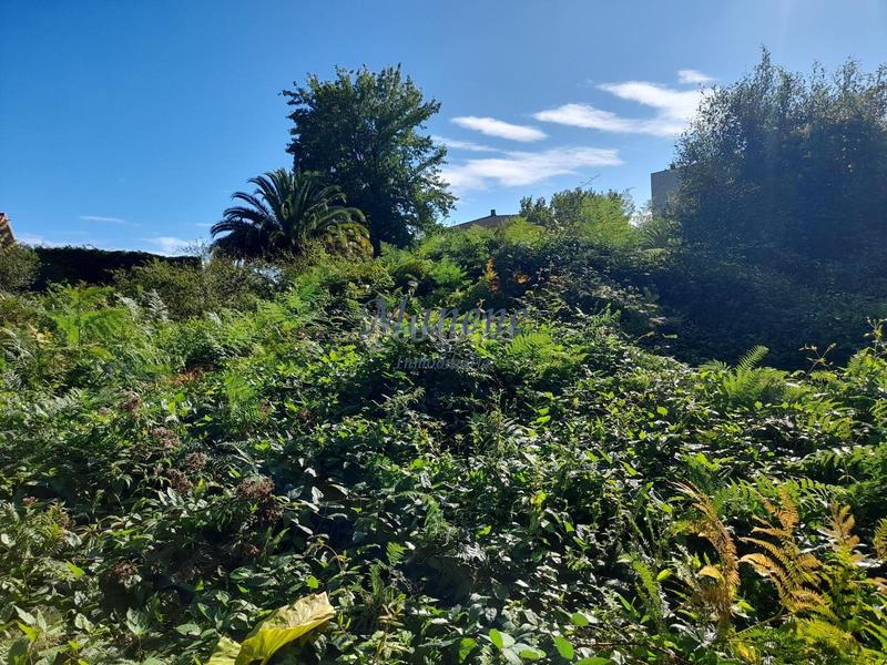 Foto 1ec403bd-44ac-4374-bf92-24ec86780492. Terrain résidentiel dans Mungia