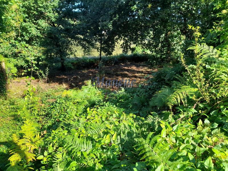 Foto 4deaa03d-8859-4ef6-bdec-60dee860a901. Terrain résidentiel dans Mungia