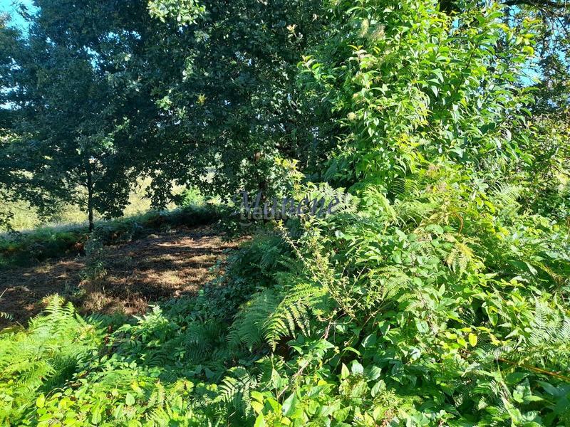 Foto 585a2664-2378-4bef-8cc6-a3a568100c94. Terrain résidentiel dans Mungia