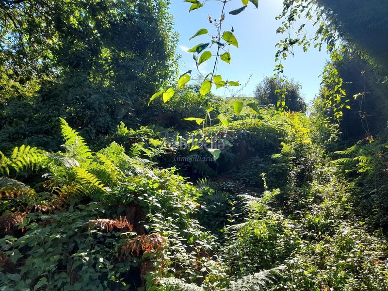 Foto 66397155-b1ac-4084-9af8-bbd4ccc30b09. Terrain résidentiel dans Mungia