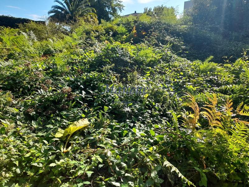 Foto 6c3281fe-1130-449c-8b8f-b683115e58d7. Terrain résidentiel dans Mungia