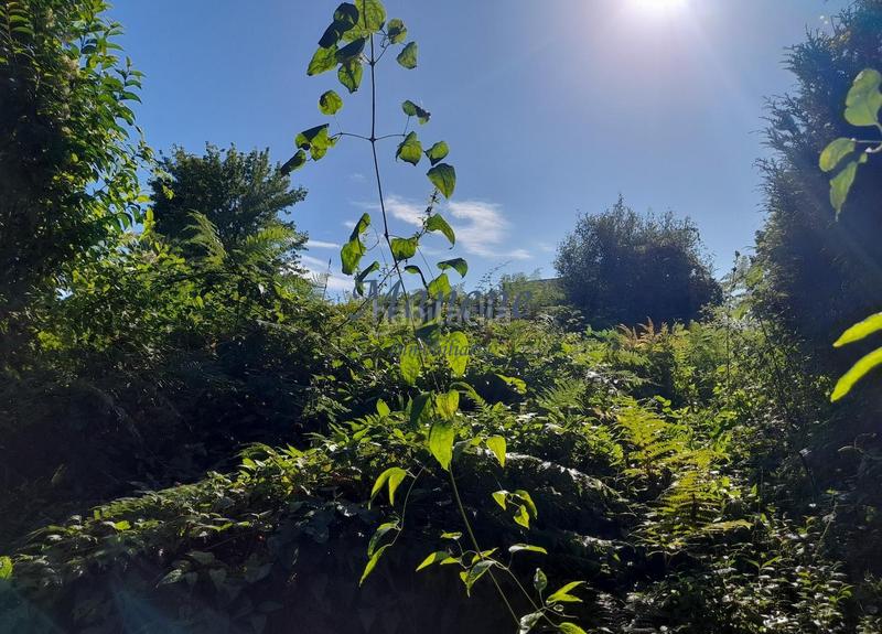 Foto 872e7d02-5b86-4aed-8d3d-d140db118378. Terrain résidentiel dans Mungia